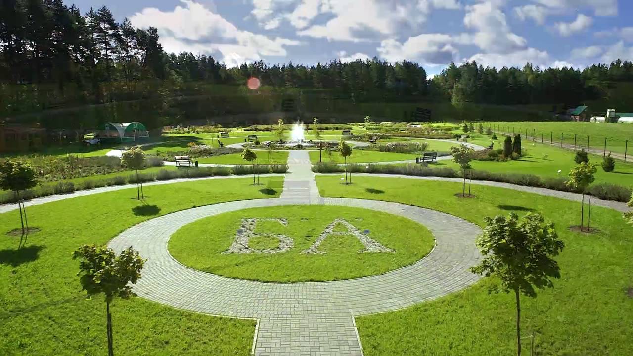 Музей под открытым небом, где экспонаты… растут: 5 тайн Аптекарского сада