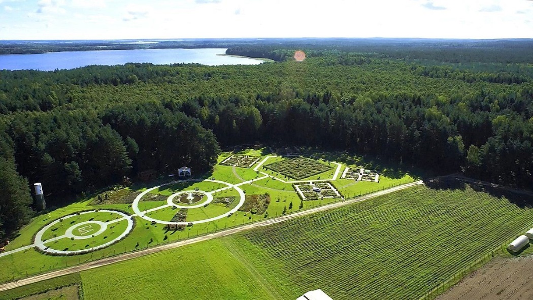 Музей под открытым небом, где экспонаты… растут: 5 тайн Аптекарского сада