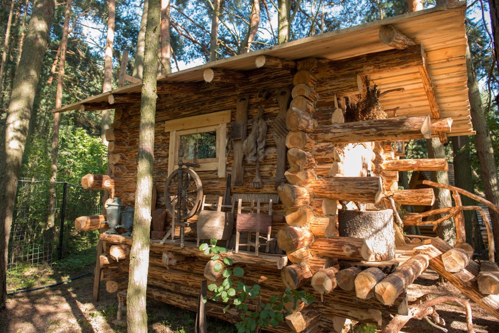 Музей под открытым небом, где экспонаты… растут: 5 тайн Аптекарского сада