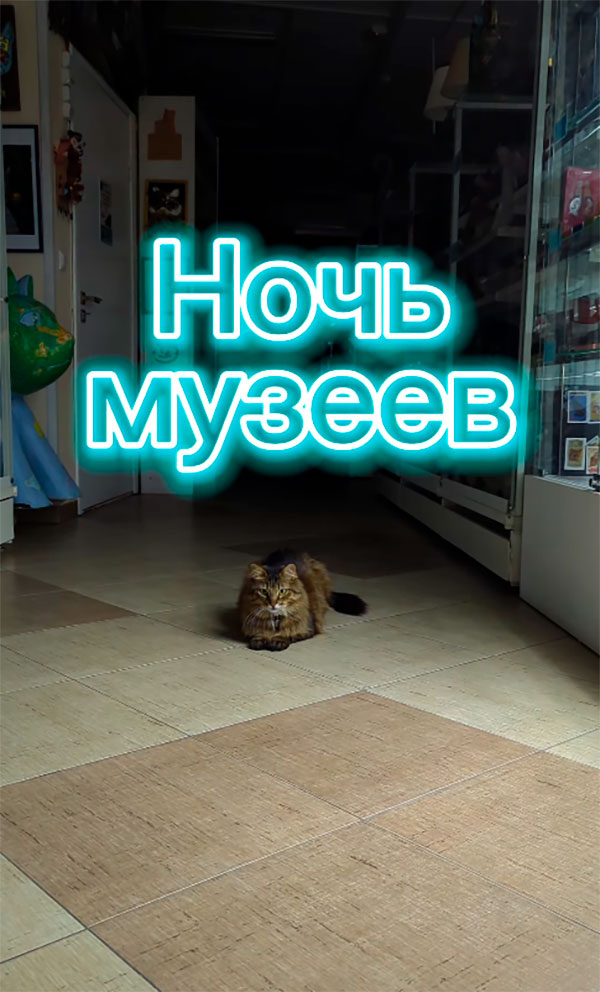 Ночь музеев с котиками
